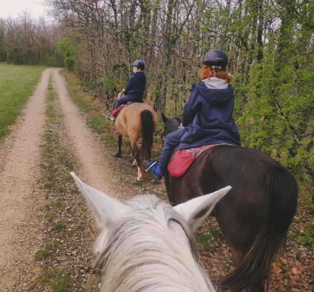  Descubrimientos de los bosques de Quercy Blanc a caballo 
