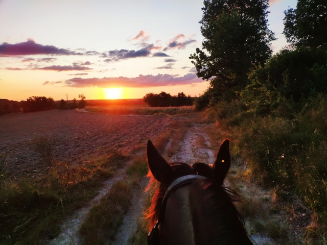  Paseos a caballo al atardecer 