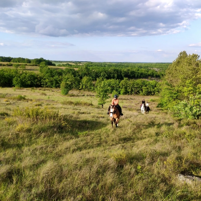  Paseos a caballo rodeados de vegetación
