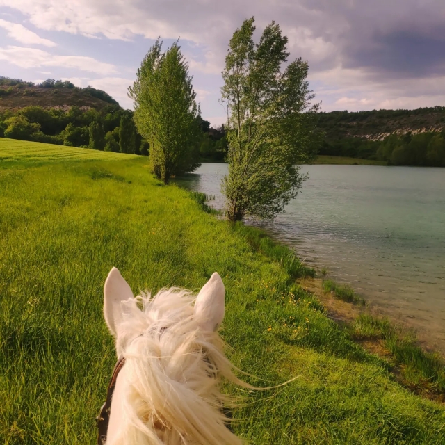  Paseos a caballo por el río 