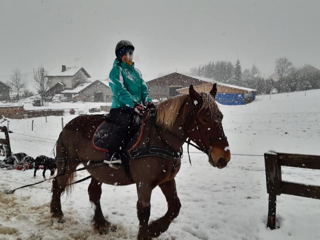 Sessione di ski joëring sulla neve 
