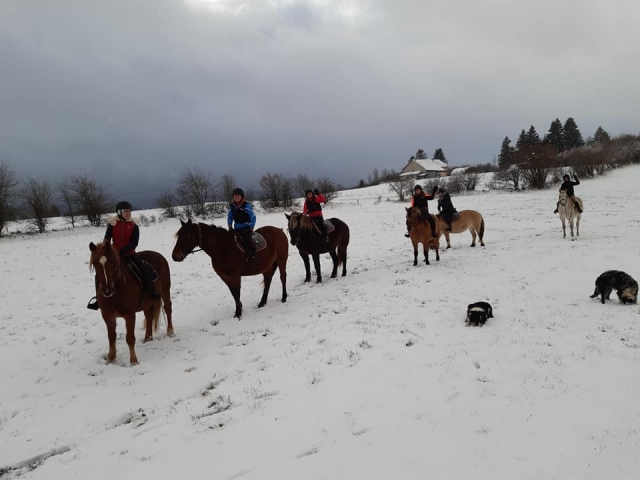 Balade équestre sur plaine enneigée 