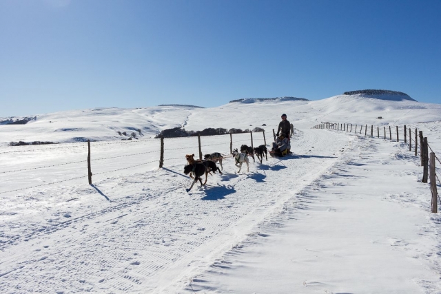  First time mushing in Bromont Lamothe 