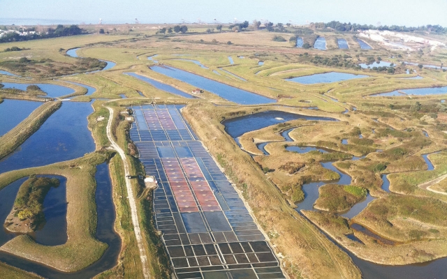 Estuario della Loira 