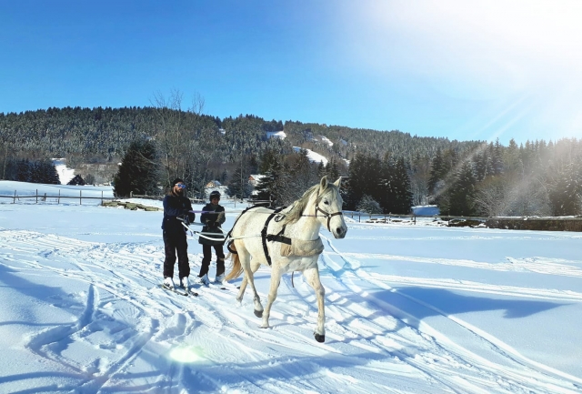  Auf den Skiern, um von einem Pferd gezogen zu werden