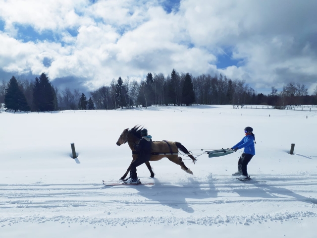 Sensationelles Ski-Joëring 