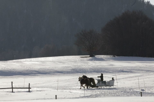Balade en traîneau au coeur de la Savoie