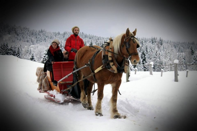 Balade hors du temps en traîneau à cheval