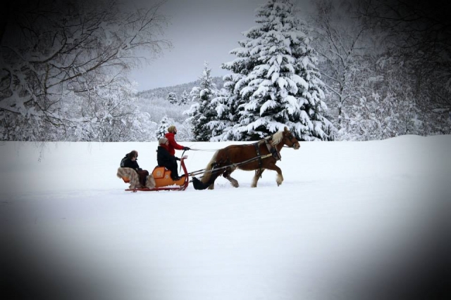 Glisse sur la neige à bord d'un traîneau à cheval