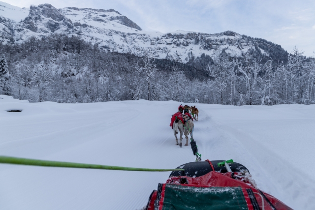 The sleigh ride 