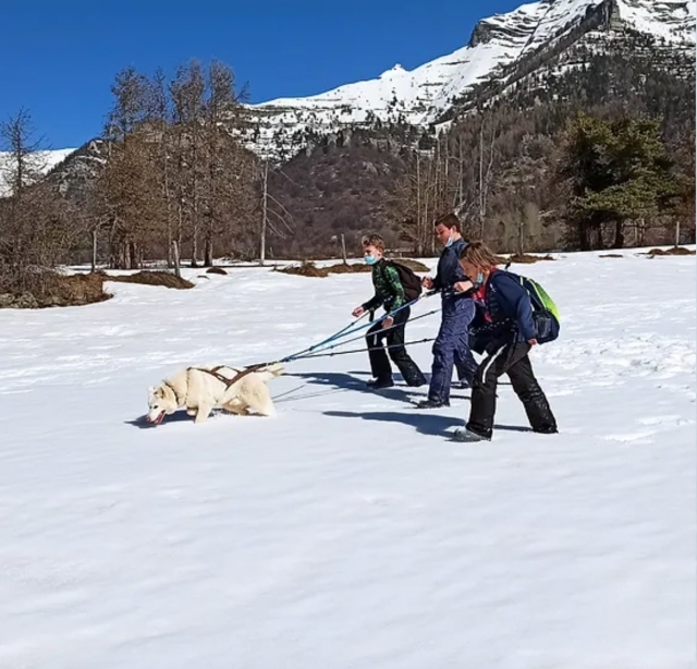  Cani-Rando nelle Alte Alpi 