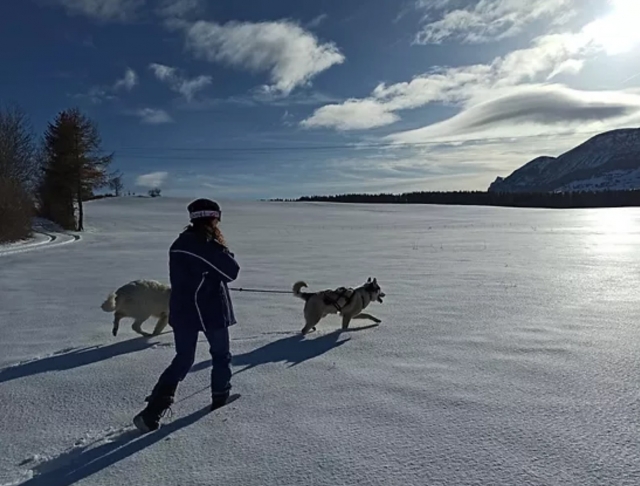  让我们和我们的狗狗一起去雪鞋远足 