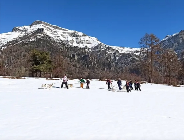  Cani-Raquette-Aktivität im Herzen der Alpen 