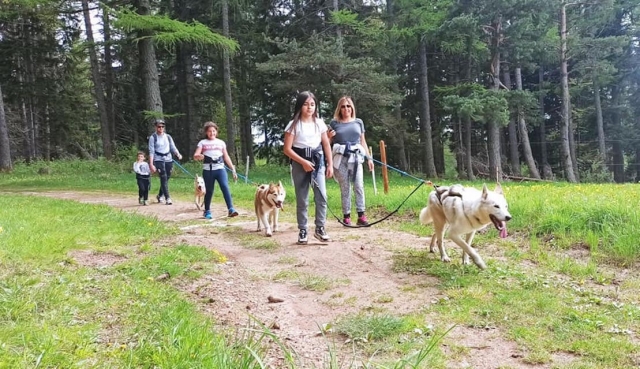  Una caminata en cani en familia en los Altos Alpes 