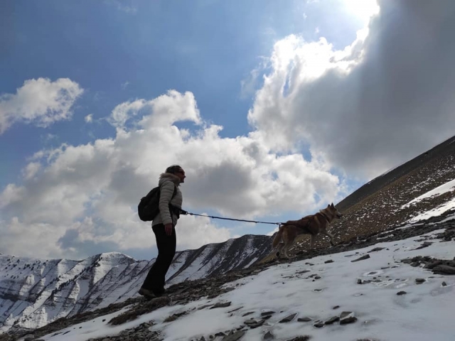  Cani-Wanderung am Ende der Wintersaison 