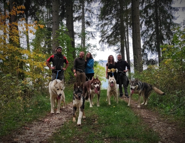  Im Wälder der Hautes-Alpes 