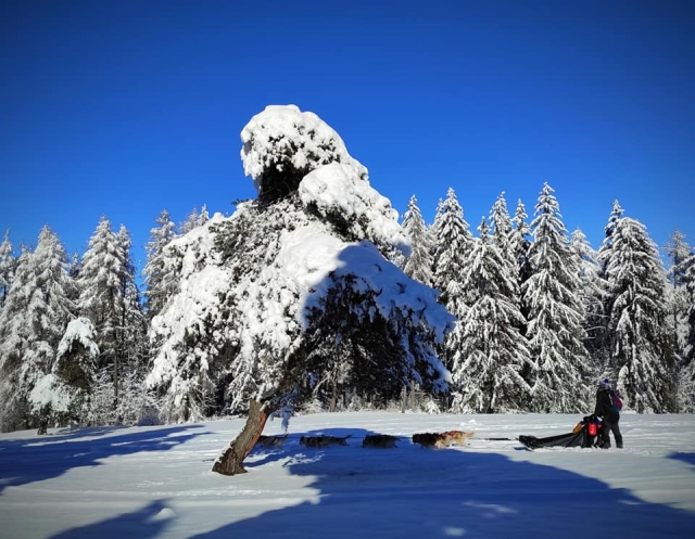  Breathtaking snowy landscapes 