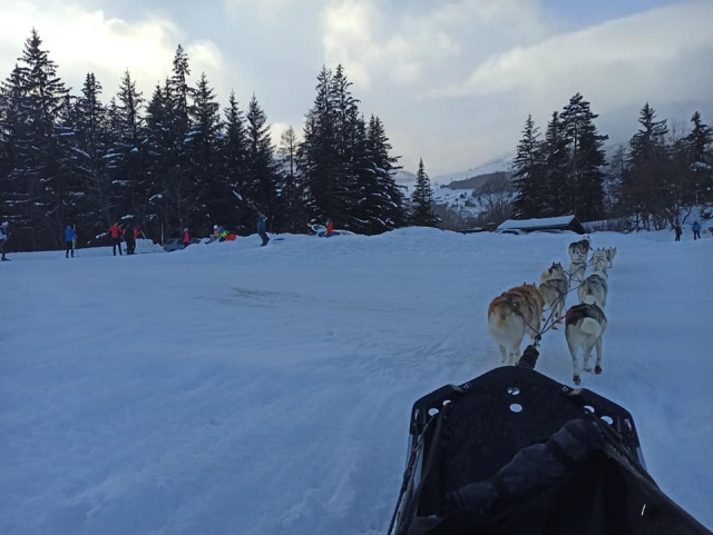 Sled in motion 