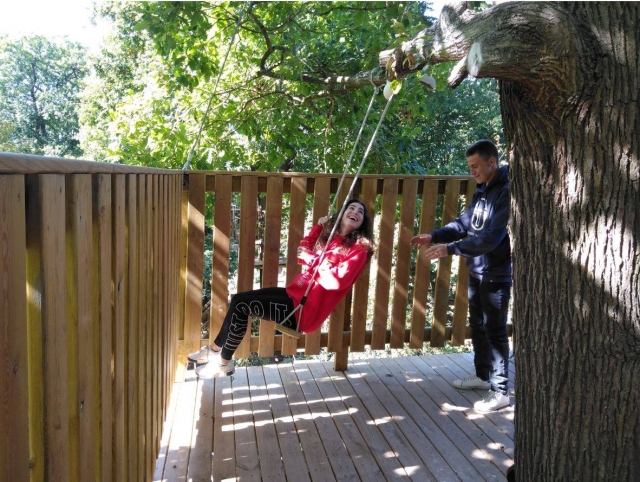 Balançoire dans le parc d'accrobranche