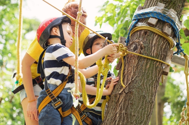 Accrobranche ludique pour enfants