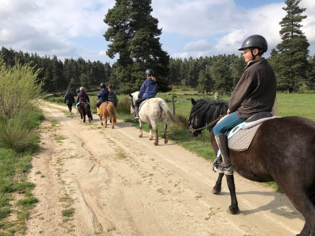  Vamos a dar un bonito paseo a caballo por los bosques de Lozère 