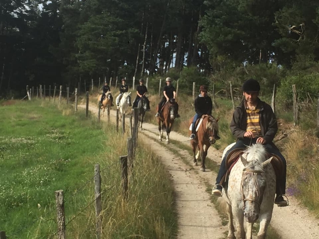 Paseos a caballo en la tierra de Peyre 