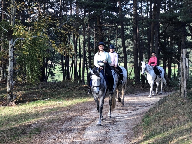  Paseos a caballo en Lozere