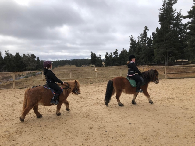 Ponyreiten angepasst an die Größe des Kindes 