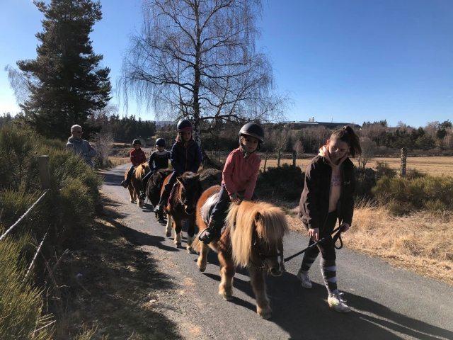  Ponyreiten in der Lozère