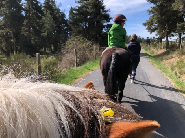 Unterwegs zum Ponyreiten 