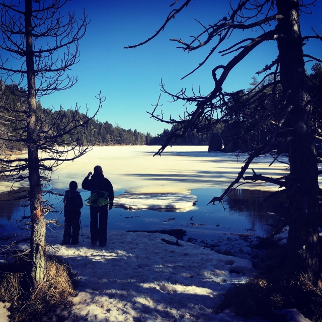 Pausar para contemplar a natureza durante a caminhada de raquetes de neve