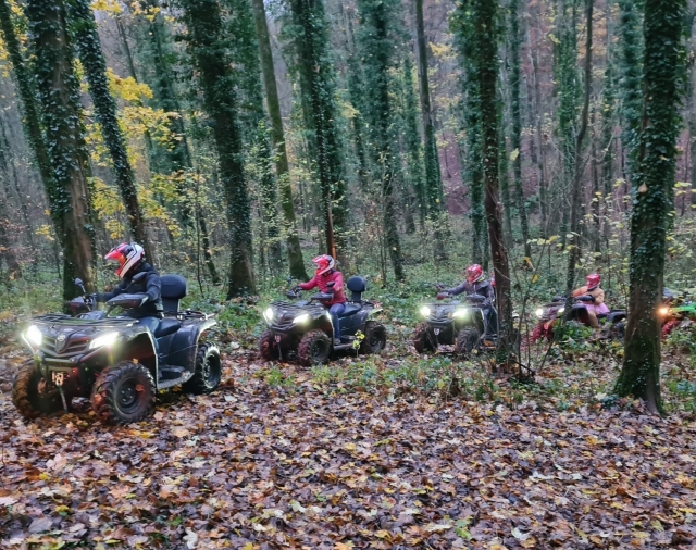 Dans les bois du Pas-de-Calais