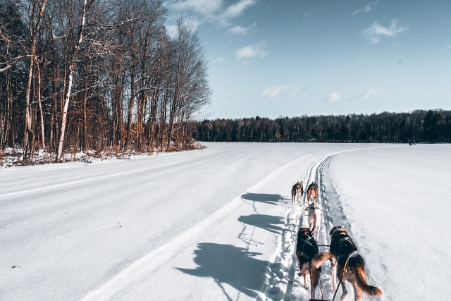 Explore the beautiful snowy landscapes of the Hautes-Pyrénées 