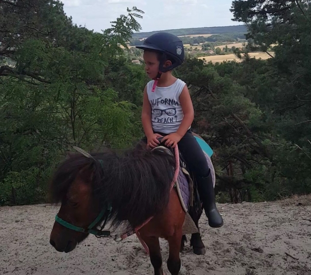 Kleines Pony, angepasst an die Größe und das Alter Ihres Kindes 