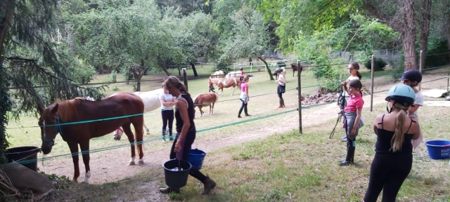  Vorbereitung der Ponys für den Ausritt
