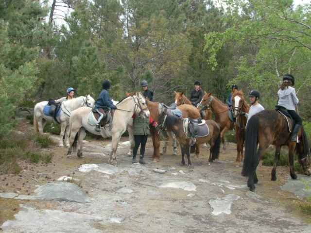  Auf geht's zum Reiten in Essonne 