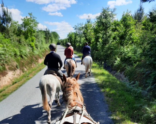  Paseos a caballo durante una hermoso día de primavera en Maine-et-Loire