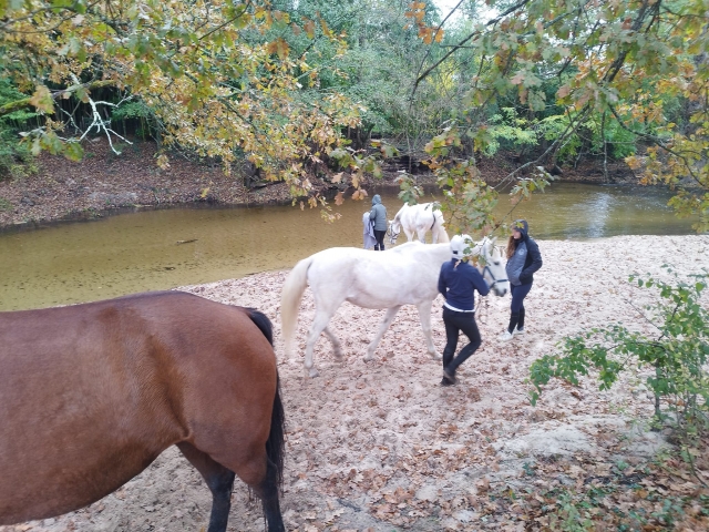 Breve pausa durante la passeggiata a cavallo 