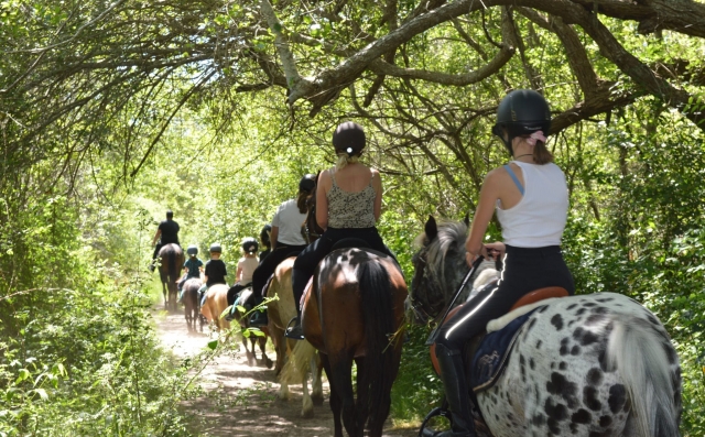 Passeggiata a cavallo nei boschi vicino a Castelviel 