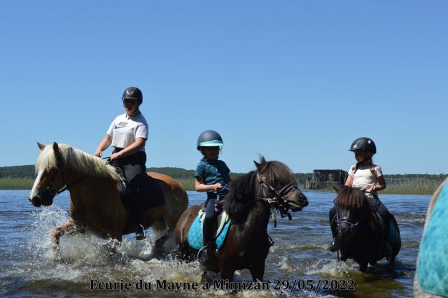 Paseo en pony en un estanque 