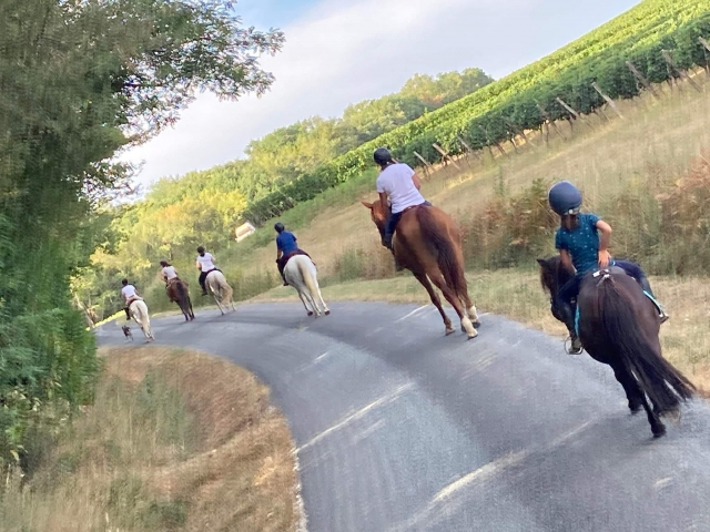  De camino al descubrimiento Gironda a caballo