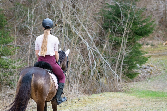 Passeggiata a cavallo nei boschi della Gironda 