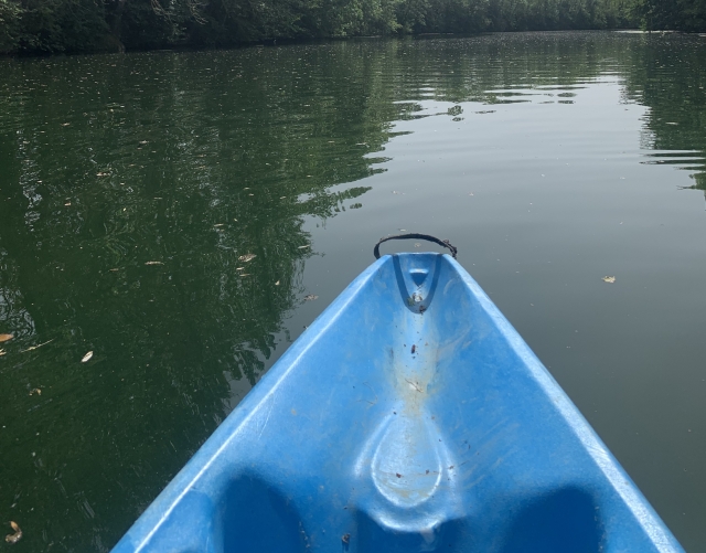 Descente en kayak en pleine nature