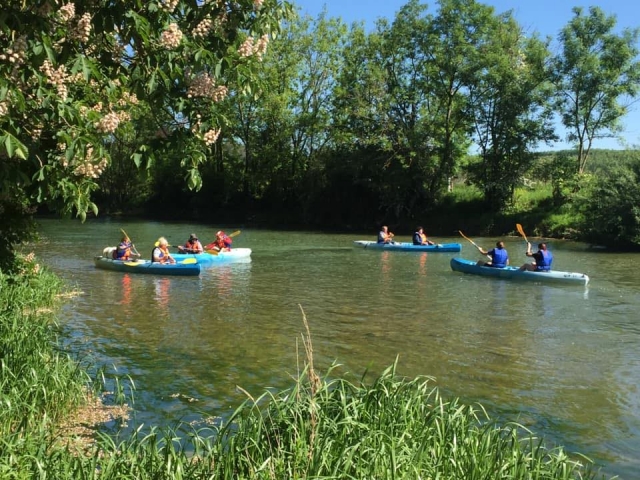 Balade en kayak sur la rivière de l'Armançon