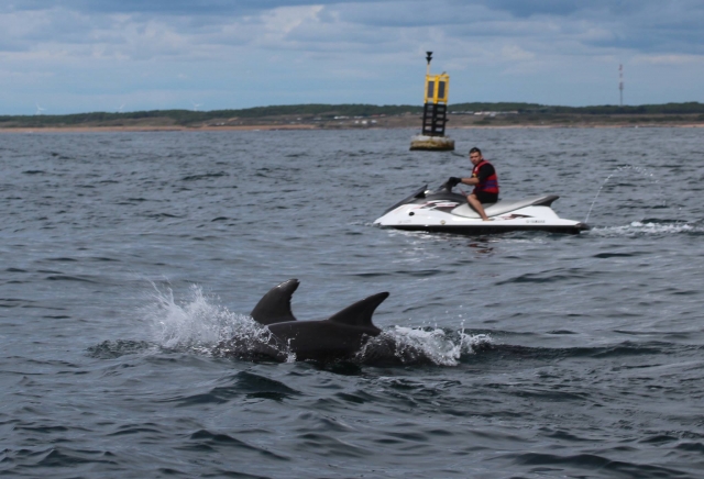  Splendid panoramas await you during your jet ski outing 