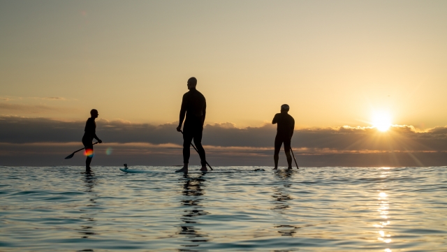 Stand Up Paddle ride at sunset 