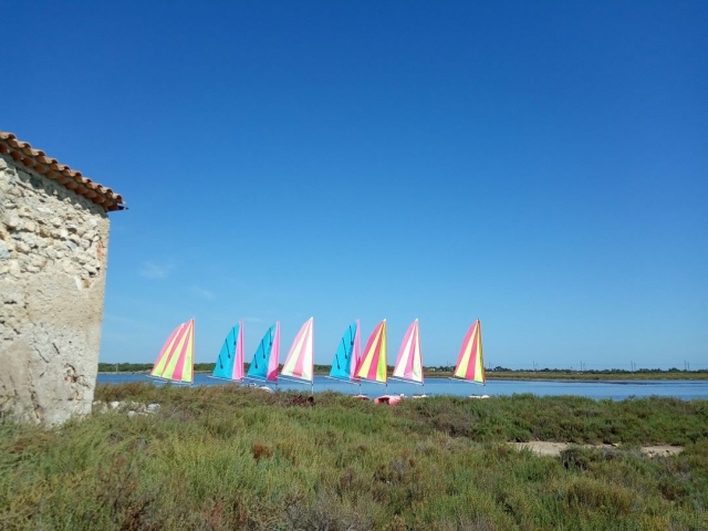  Colonia di catamarani
