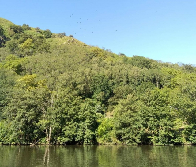  Landscape from the river in hydrospeed 