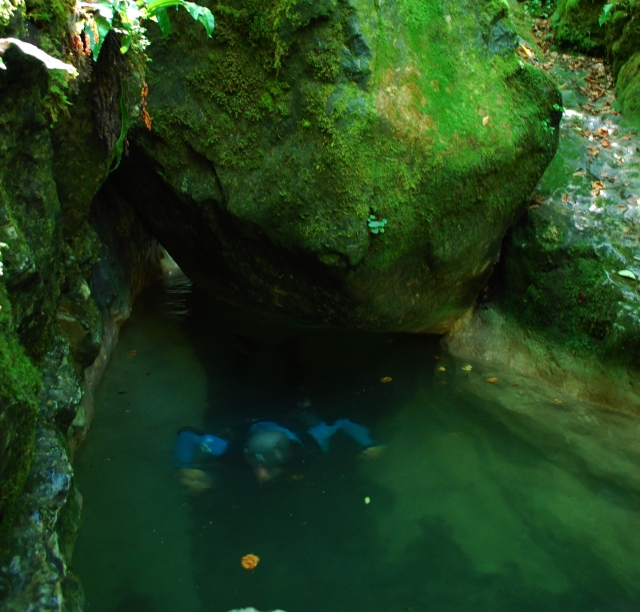  Ternèze 峡谷盆地中的小斜坡 