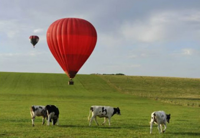  Seus filhos sonhavam em voar, percebemos o sonho deles em um balão de ar quente 